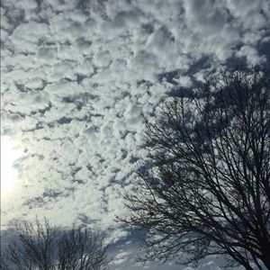 Meet your Posher, Bella